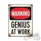 MAGNES GENIUS AT WORK 14352