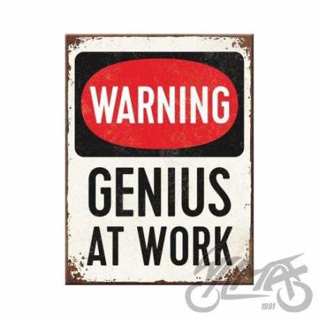 MAGNES GENIUS AT WORK 14352