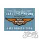 MAGNES HARLEY-DAVIDSON LOGO BLUE 14375