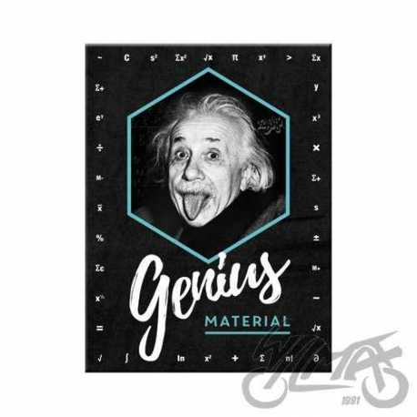 MAGNES EINSTEIN GENIUS MATERIAL14395