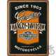 Tablica Plakat 30X40 Harley-Davidson Ribbo 23360