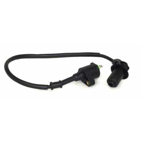 Cewka Zapłonowa Atv Raze 200