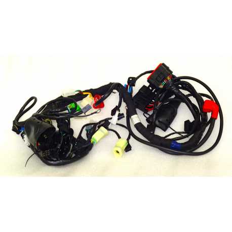 Instalacja Elektryczna Voge 125R Euro 5+ (271232741-0001)