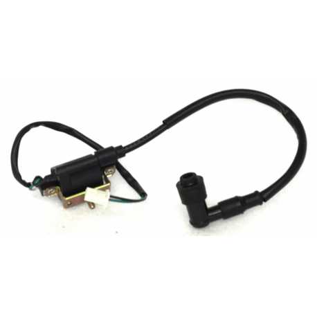 Cewka Zapłonowa Atv Terrax