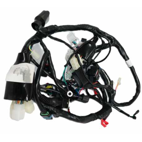 Instalacja Elektryczna Rally 125