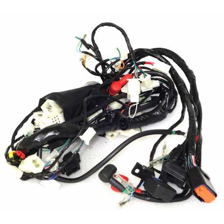 Instalacja elektryczna ATV Road Hunter 200