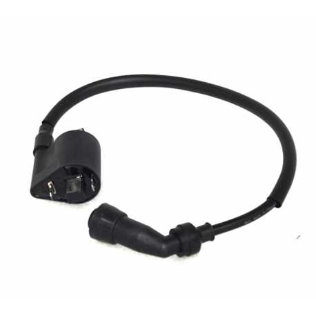 Cewka Zapłonowa Rally 125