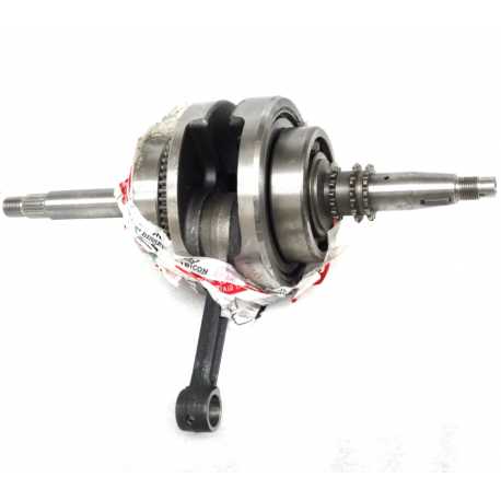 Wał Korbowy Braver 300