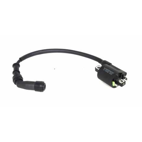 Cewka Zapłonowa Xplore 125