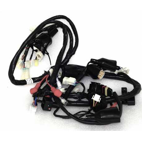 Instalacja Elektryczna Coral 50