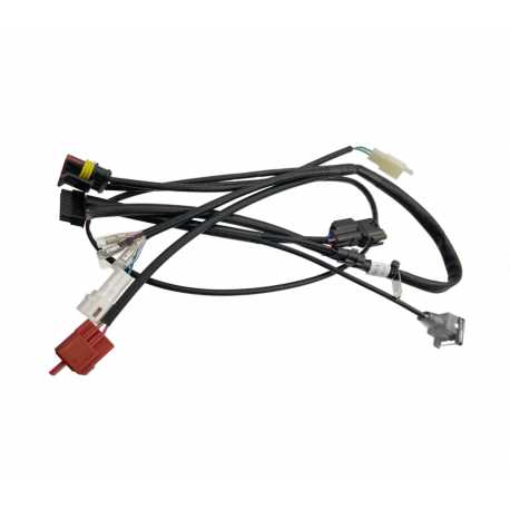 Instalacja Elektryczna Ecu Blaze 50