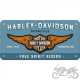 ZAWIESZKA 10x20 HARLEY DAVIDSON 28023