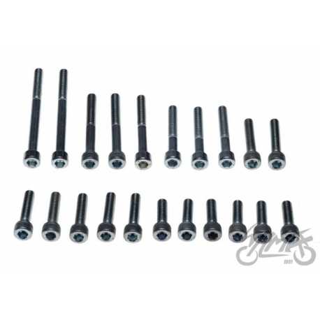 ŚRUBA SILNIKA WSK125 IMBUS kpl