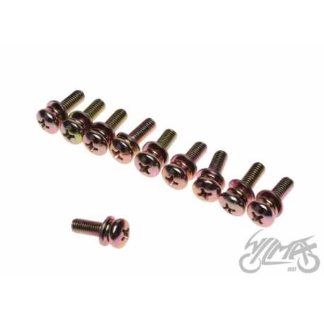 ŚRUBA MOCOWANIA DOZOWNIKA OLEJU 2T KPL 10 szt