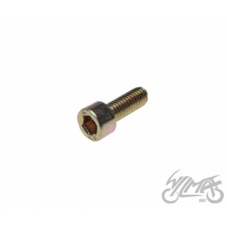 ŚRUBA WAŁKA KRZYWKOWEGO DO CZUJNIKA LUZU