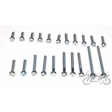 ŚRUBA SILNIKA WSK125 kpl